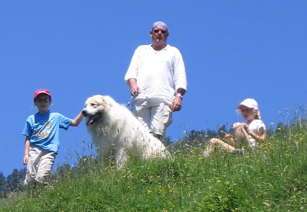 Juni 2008
